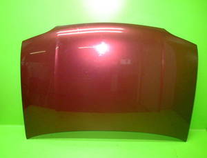 Motorhaube 8610825