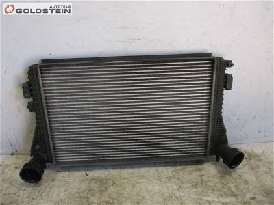 Ladeluftkühler VW GOLF PLUS (5M1, 521) 1.9 TDI VW,1K0145803E 77 KW