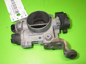 Drosselklappenelement 12195517