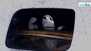 Spiegelglas L Mech Verst HZB 09130905 Opel Astra 1.6 Caravan Bj 2004