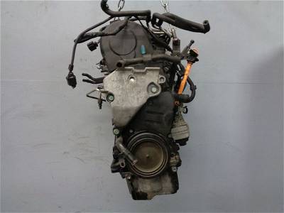 Motor ohne Anbauteile VW TOURAN (1T1, 1T2) 1.9 TDI 74 KW 23494536
