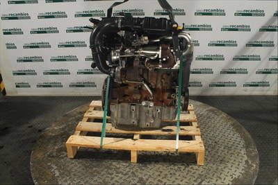 Motor ohne Anbauteile Dacia Logan Diesel