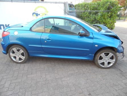 Peugeot 206cc Cabrio popular Tür Rechts EYLC