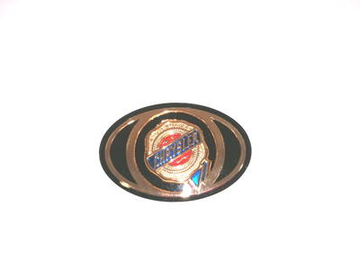 Emblem Chrysler 300 C Touring (LX) 04805157