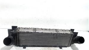 Ladeluftkühler Radiator VALEO X3 (F25) SUV xDrive20d 16V (N47-D20C) 2012