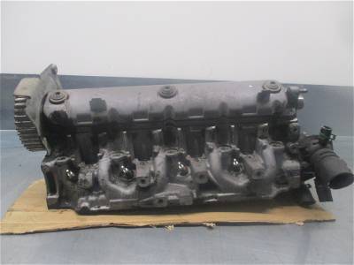 Zylinderkopf Renault Laguna I (B56) 7711497320