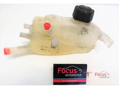 Ausgleichsbehälter Renault Megane III Schrägheck BZ 8200048024 P9194730