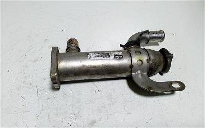 Abgaskühler Citroen C4 II (B7) 875816W