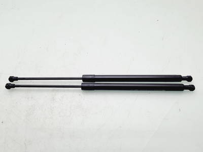 Heckklappendämpfer links Renault Scenic III (JZ) 904500004R