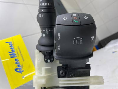 Lenksäule Renault Scenic III JZ 255670019R P19714226