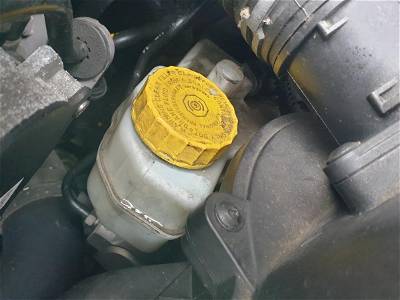 Bremskraftverstärker VW Polo V (6R, 6C) 34625672