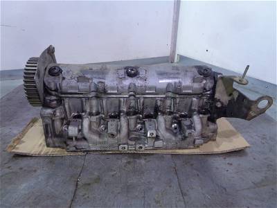 Zylinderkopf Renault (8200303546) 8200303546