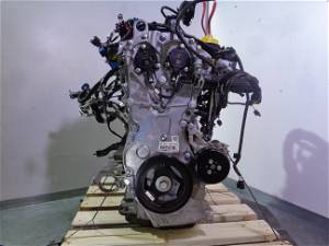 Motor Dacia (100014301R)