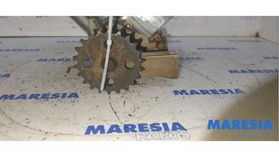 Ölpumpe Renault Scenic III JZ 150103110R P19577249