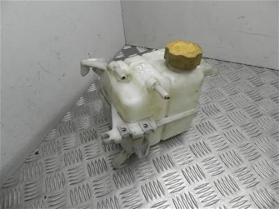 Behälter Kühlwasser Chevrolet Captiva (C100, C140) 96837836 35249410