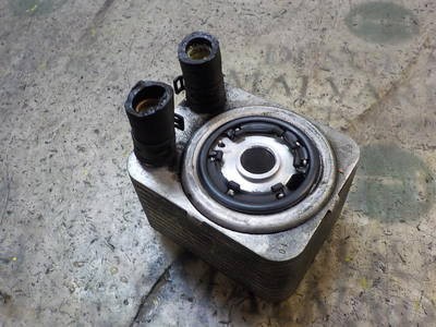 Ölkühler Audi A6 (C6) Sedan 2.0 TDI 16V (BRE) (038117021D) 45131455