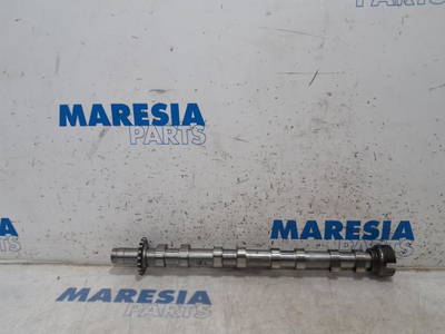 Nockenwelle Citroen Jumpy II Kasten 9683073880 P19138652