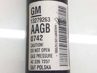 Stoßdämpfer Links Hinten Opel Astra J (PD5/PE5) Sedan 1.4 Turbo 16V (A14NET) (13279263)