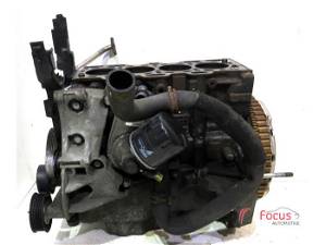 P20576334 Motor ohne Anbauteile (Benzin) RENAULT Kangoo Rapid (FW0) 110108501R K...