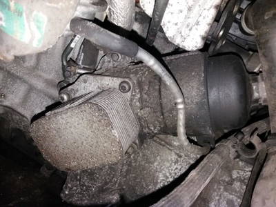 Ölfiltergehäuse Ford Focus, 2004.11 - 2008.06 38559513