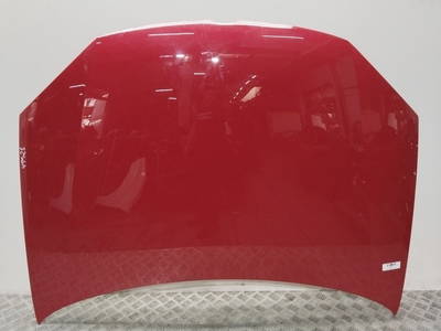 Motorhaube Volkswagen Golf V (1K1) Hatchback 1.9 TDI (BXE) (1K0823031J, ROJO)