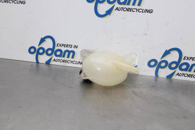 Ausgleichsbehälter Dacia Dokker Express Kasten/Großraumlimousine 217107259R P15622505