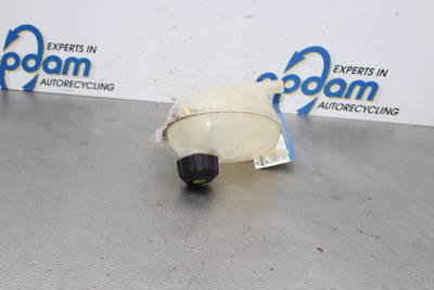 Ausgleichsbehälter Dacia Dokker Express Kasten/Großraumlimousine 217107259R P15622505