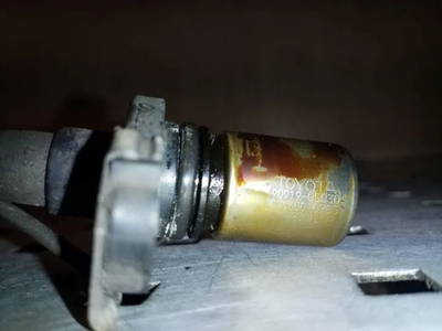 Sensor für Nockenwellenposition Toyota 9091905030 41051970