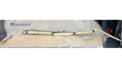 Airbag Dach rechts VW Golf V 1K 1K6880742H P981652