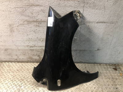 256060 Kotflügel rechts vorne VW Fox Schrägheck (5Z) 5Z0821022H