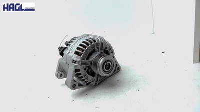 Lichtmaschine Austausch Freilauf 95515954 Opel Meriva 1.4 B S-D Meriva Kombi