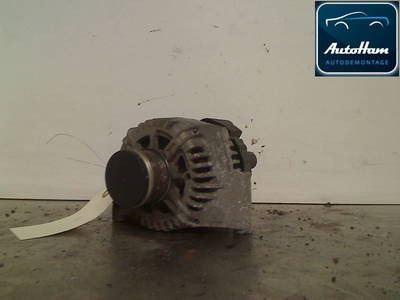 Lichtmaschine Fiat Punto Evo (199) Hatchback 1.3 JTD Multijet Start&Stop 16V Euro 4 (199.B.2000) 2010 (46823547, 51784845, 71723039)
