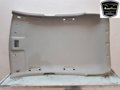 Verkleidung Himmel Kia Picanto (TA) Hatchback 1.0 12V (G3LA) 2017 (853011Y3008O)