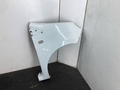 Kotflügel Rechts Vorne Renault Twingo II (CN) Hatchback 3-drs 1.2 (D7F-800) 2008 (7701477874)