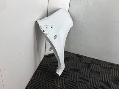 Kotflügel Rechts Vorne Renault Twingo II (CN) Hatchback 3-drs 1.2 (D7F-800) 2008 (7701477874)