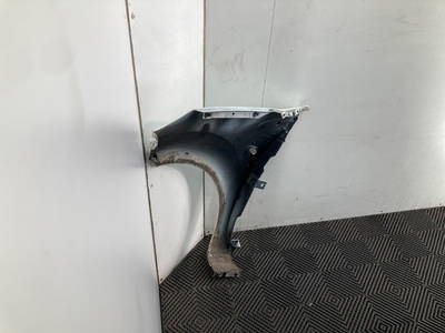 Kotflügel Rechts Vorne Renault Twingo II (CN) Hatchback 3-drs 1.2 (D7F-800) 2008 (7701477874)