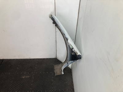 Kotflügel Rechts Vorne Renault Twingo II (CN) Hatchback 3-drs 1.2 (D7F-800) 2008 (7701477874)