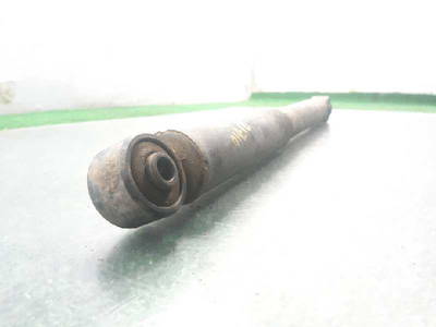 Stoßdämpfer Links Hinten Suzuki Grand Vitara II (JT) SUV 1.9 DDiS (F9Q) (4170065J00) 54245132