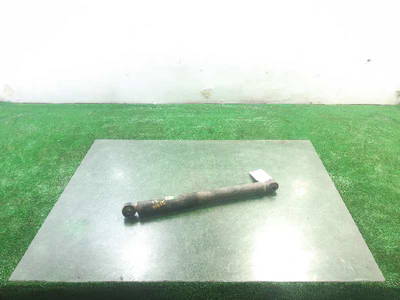 Stoßdämpfer Links Hinten Suzuki Grand Vitara II (JT) SUV 1.9 DDiS (F9Q) (4170065J00) 54245132