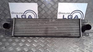 Ladeluftkühler Renault Master II (FD/HD) Van 2.8 dTi (S9W-702) (7701043695)