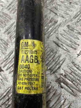 Stoßdämpfer hinten links Opel 13279263 65706310