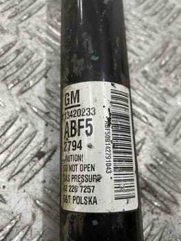 Stoßdämpfer hinten links Opel 13420233 65706326