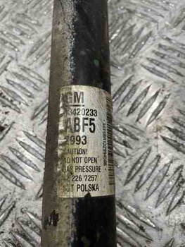 Stoßdämpfer hinten links Opel 13420233 65706327