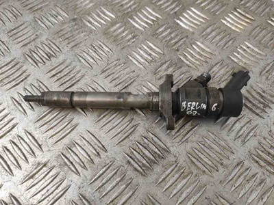 Düsenstöcke Citroën 0445110239 66181188