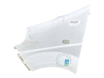 Kotflügel Links Vorne Renault Trafic New (FL) Van 2.0 dCi 16V 115 (M9R-630(M9R-A6)) (7782524451)