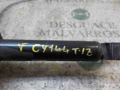 Stoßdämpfer Links Hinten Daewoo / Chevrolet (96943787)