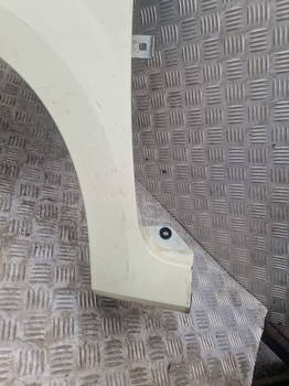 Kotflügel Links Vorne Renault Twingo II (CN) Hatchback 3-drs 1.2 16V (D4F-772) (631017356R)