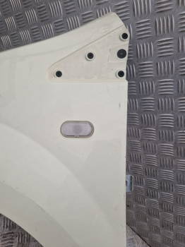 Kotflügel Links Vorne Renault Twingo II (CN) Hatchback 3-drs 1.2 16V (D4F-772) (631017356R)