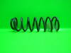 Feder hinten links 2603215