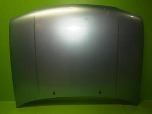 Motorhaube 2899599